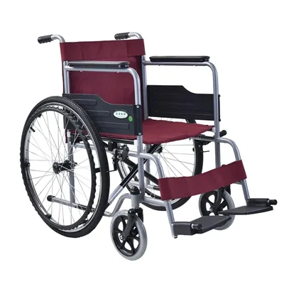 Какви са предимствата на електрическите инвалидни колички пред инвалидните ко...